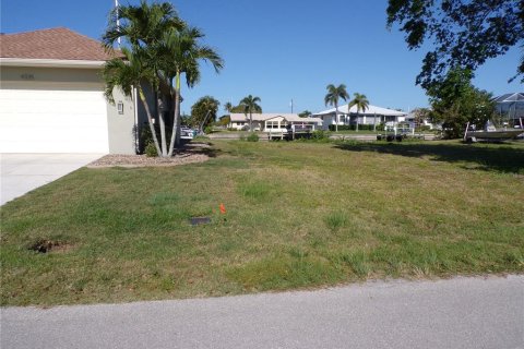 Terreno en venta en Punta Gorda, Florida № 1125399 - foto 6