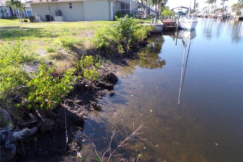 Terreno en venta en Punta Gorda, Florida № 1125399 - foto 16