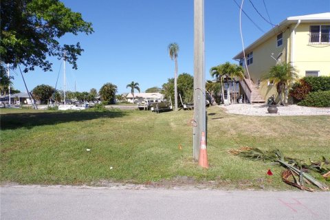 Land in Punta Gorda, Florida № 1125399 - photo 3