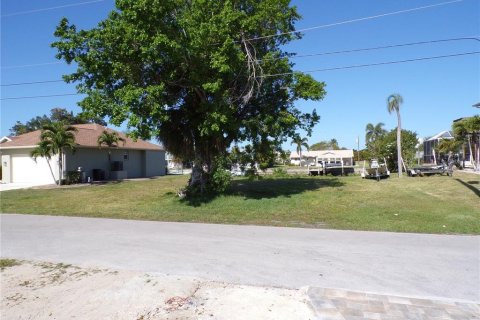 Terrain à vendre à Punta Gorda, Floride № 1125399 - photo 1