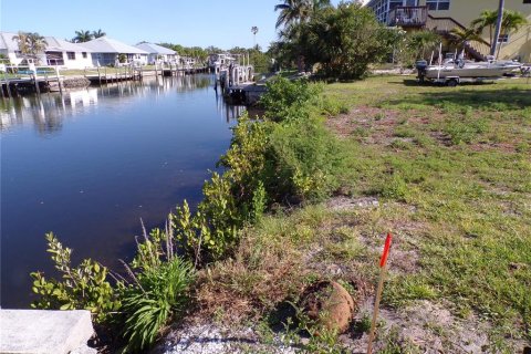 Terrain à vendre à Punta Gorda, Floride № 1125399 - photo 7