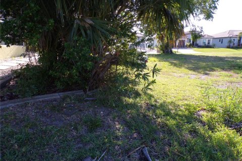 Land in Punta Gorda, Florida № 1125399 - photo 12