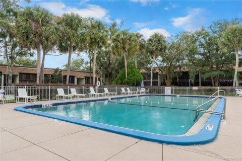 Condo in Inverness, Florida, 2 bedrooms  № 1359471 - photo 30