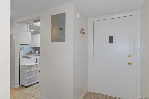 Condo in Inverness, Florida, 2 bedrooms  № 1359471 - photo 4