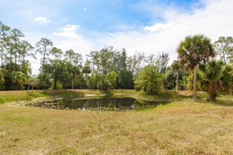 Land in Loxahatchee Groves, Florida № 138689 - photo 15
