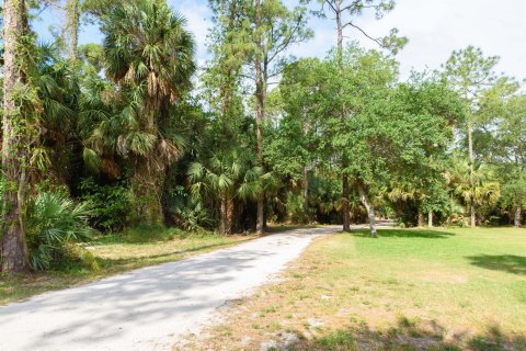 Terrain à vendre à Loxahatchee Groves, Floride № 138689 - photo 17