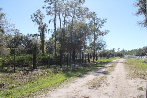 Immobilier commercial à vendre à Sebring, Floride № 1223832 - photo 8