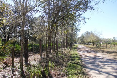 Immobilier commercial à vendre à Sebring, Floride № 1223832 - photo 4