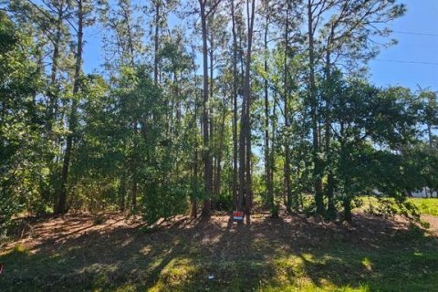 Terreno en venta en Frostproof, Florida № 1167720 - foto 4