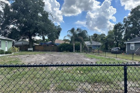 Land in Tampa, Florida № 1326357 - photo 4