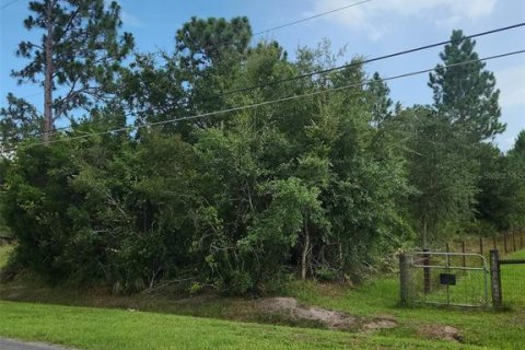 Terreno en venta en Orlando, Florida № 1273749 - foto 1