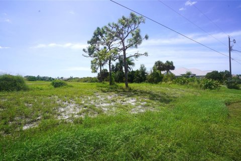 Land in Rotonda, Florida № 1356074 - photo 2