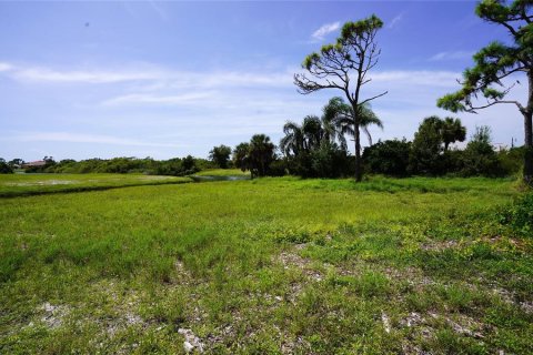 Land in Rotonda, Florida № 1356074 - photo 4