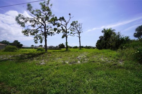 Land in Rotonda, Florida № 1356074 - photo 3