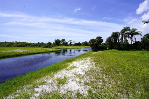 Land in Rotonda, Florida № 1356074 - photo 5