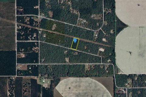 Land in O Brien, Florida № 1337972 - photo 2