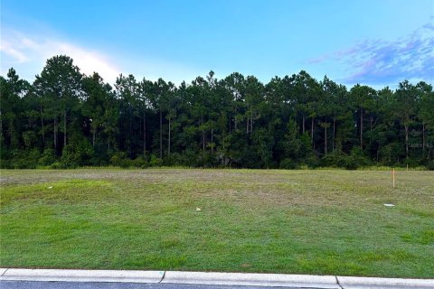 Terreno en venta en Palm Coast, Florida № 1335571 - foto 1