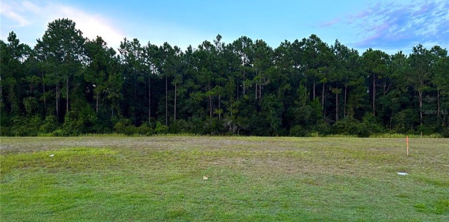 Terrain à Palm Coast, Floride № 1335571