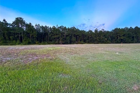 Terreno en venta en Palm Coast, Florida № 1335571 - foto 2