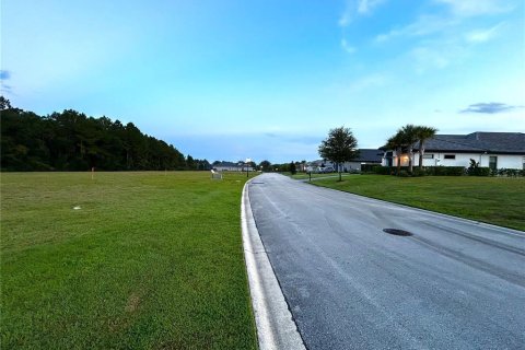 Terreno en venta en Palm Coast, Florida № 1335571 - foto 3