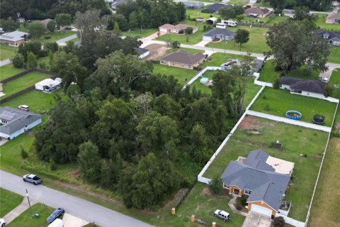 Terreno en venta en Ocala, Florida № 1335570 - foto 6