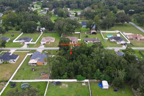 Terreno en venta en Ocala, Florida № 1335570 - foto 4