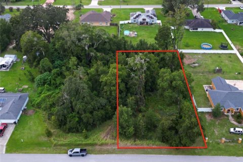 Terreno en venta en Ocala, Florida № 1335570 - foto 1