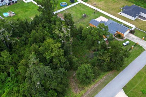 Land in Ocala, Florida № 1335570 - photo 11