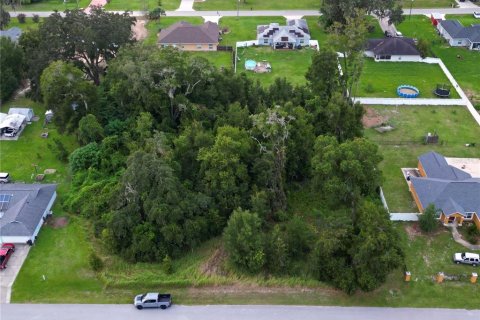 Terreno en venta en Ocala, Florida № 1335570 - foto 2