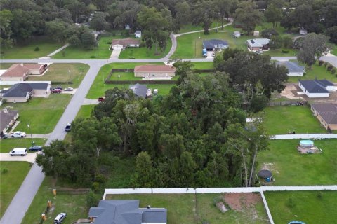 Terrain à vendre à Ocala, Floride № 1335570 - photo 5