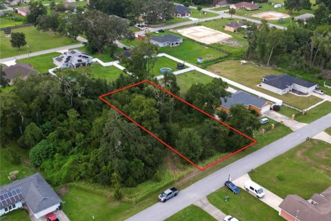 Terreno en venta en Ocala, Florida № 1335570 - foto 3