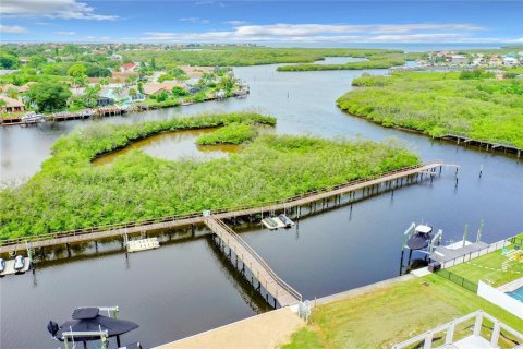 Land in New Port Richey, Florida № 1285437 - photo 4