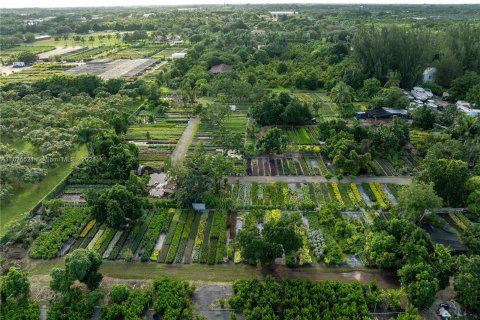 Commercial property in Homestead, Florida № 1409089 - photo 10