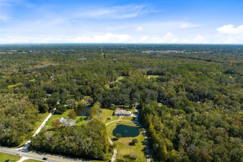 Villa ou maison à vendre à Edgewater, Floride: 4 chambres, 326.55 m2 № 835153 - photo 13