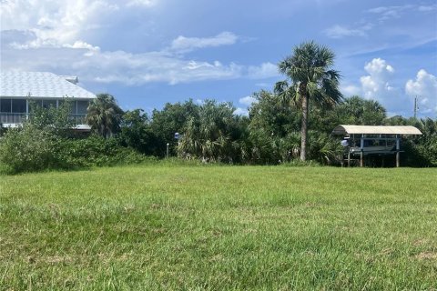 Terreno en venta en Punta Gorda, Florida № 1361570 - foto 2