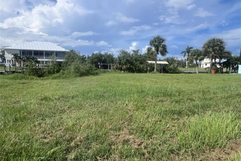 Land in Punta Gorda, Florida № 1361570 - photo 5