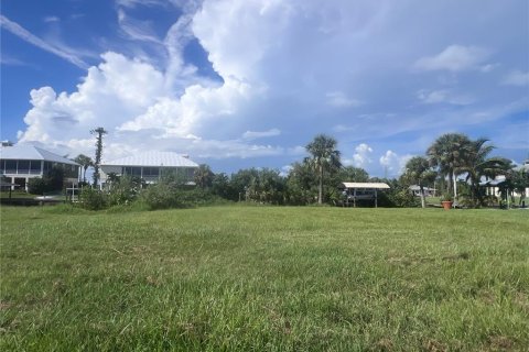 Land in Punta Gorda, Florida № 1361570 - photo 3