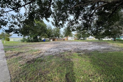 Terreno en venta en Saint Cloud, Florida № 1420625 - foto 7