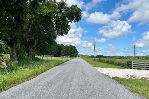 Terreno en venta en Zolfo Springs, Florida № 1306562 - foto 10