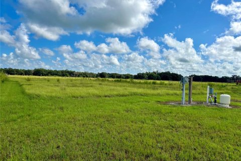 Land in Zolfo Springs, Florida № 1306562 - photo 3