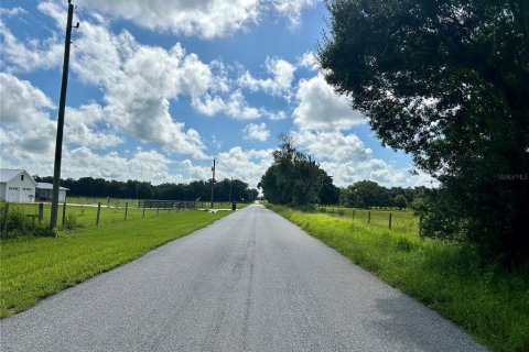 Terreno en venta en Zolfo Springs, Florida № 1306562 - foto 9