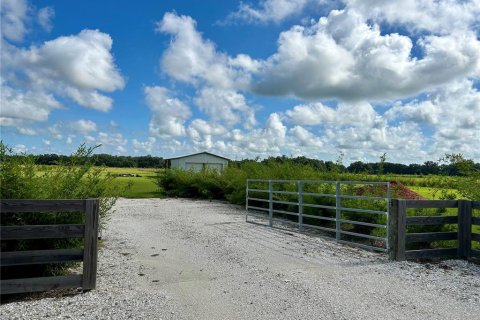 Land in Zolfo Springs, Florida № 1306562 - photo 2