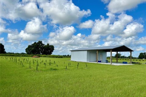 Land in Zolfo Springs, Florida № 1306562 - photo 6