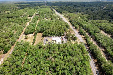 Land in Citrus Springs, Florida № 1307958 - photo 6