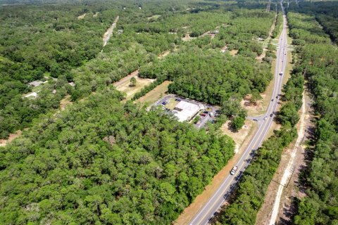 Land in Citrus Springs, Florida № 1307958 - photo 7