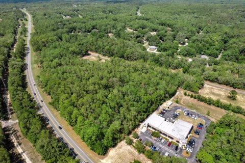 Land in Citrus Springs, Florida № 1307958 - photo 10