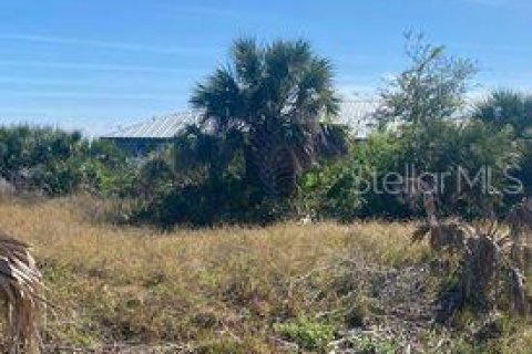 Terreno en venta en Port Charlotte, Florida № 820152 - foto 9