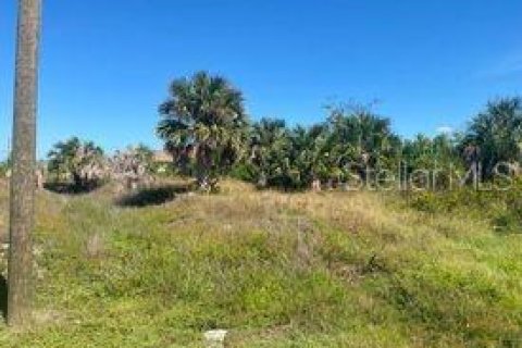 Terreno en venta en Port Charlotte, Florida № 820152 - foto 12