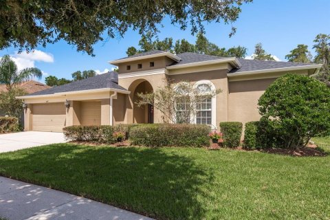 House in Wesley Chapel, Florida 4 bedrooms, 307.69 sq.m. № 1387132 - photo 1