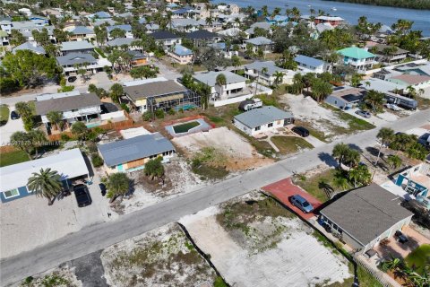 Land in Fort Myers, Florida № 1332970 - photo 7